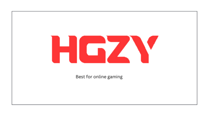 hgzy game